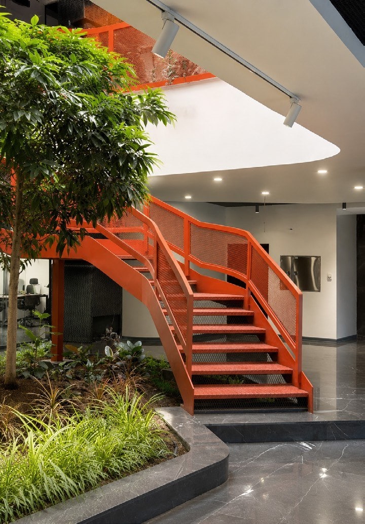 Stair, tree and skylight
