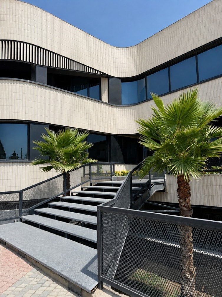Stairs and planting at the entrance