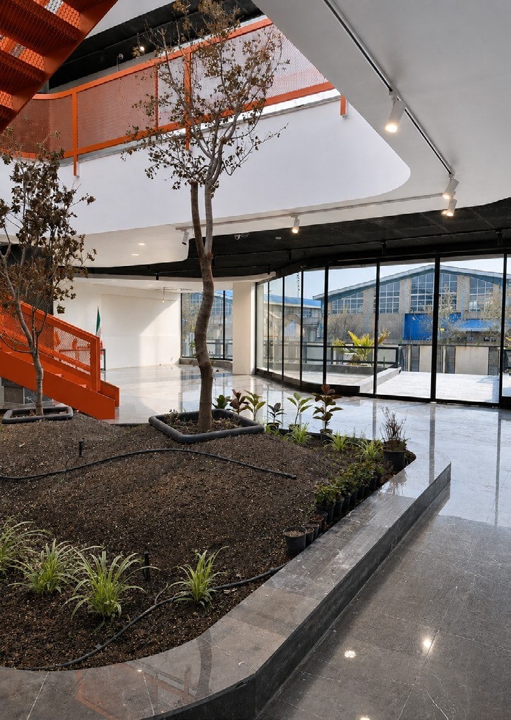 Indoor tree under the skylight