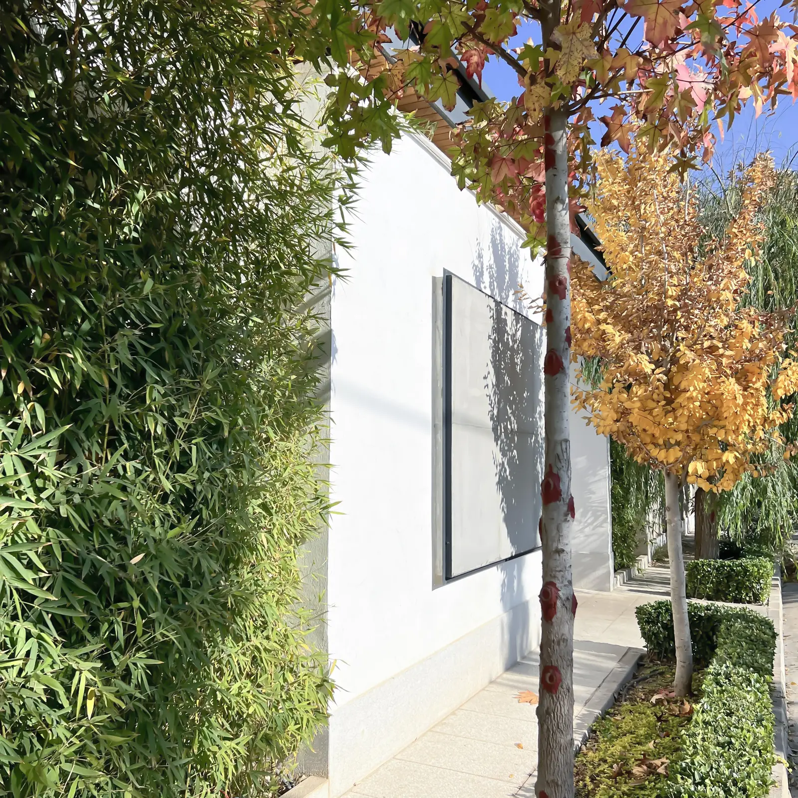 Garden wall from the street