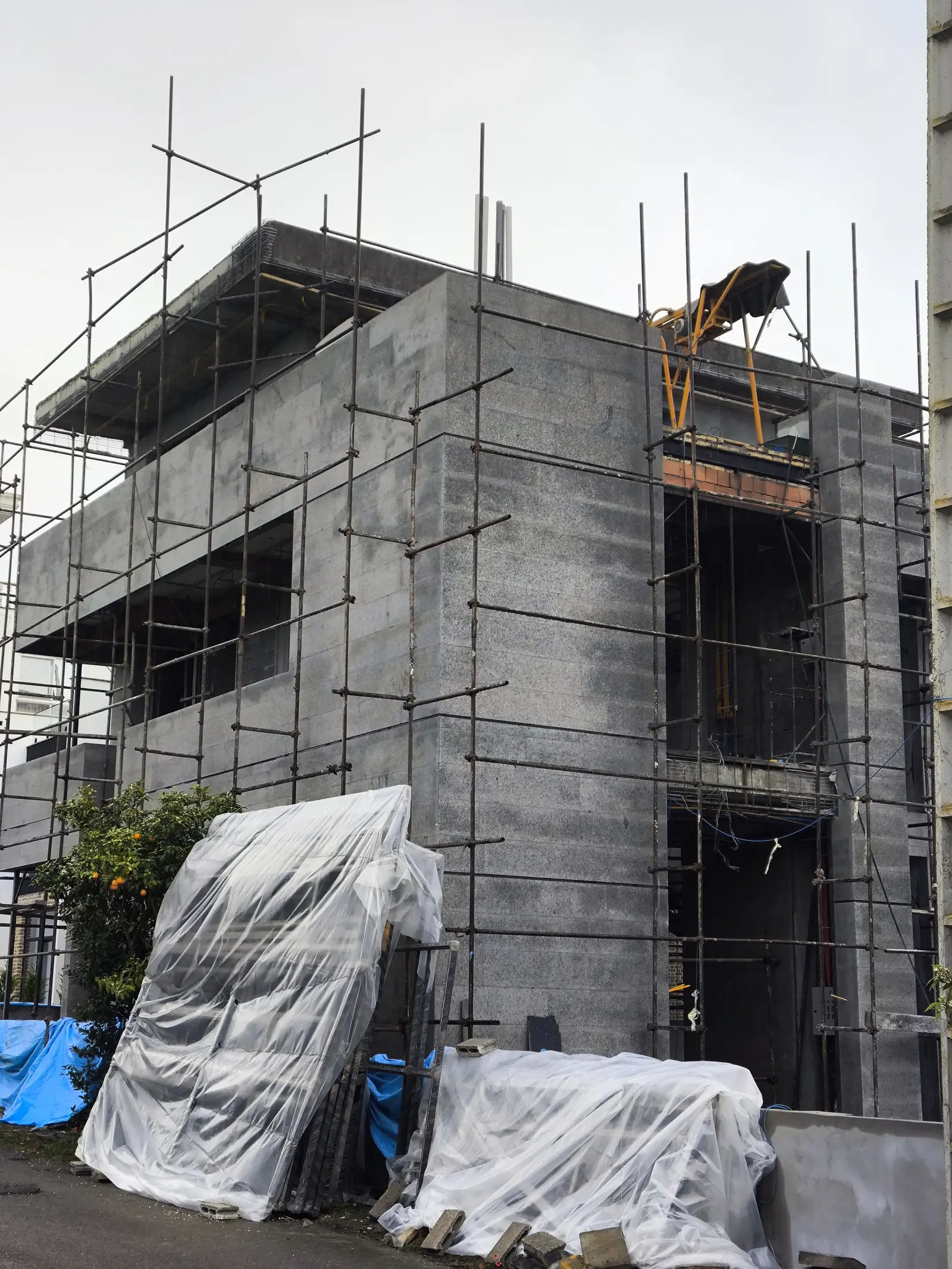 The house in scaffolding